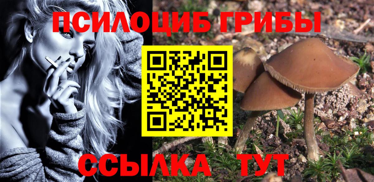 Галлюциногенные грибы прущие грибы  Вход с VPN  Звенигород 